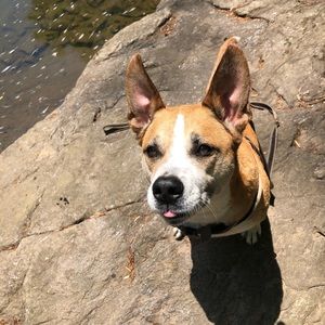 Meet your Posher, Danny